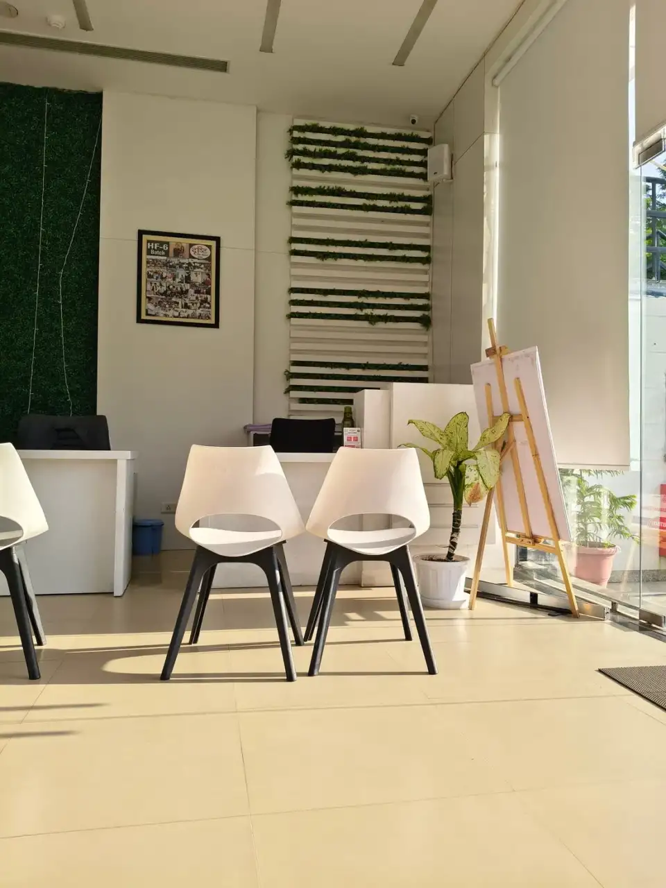 Contemporary office seating area with plants and natural light